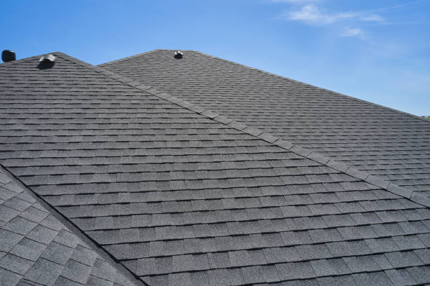 Best Roof Moss and Algae Removal  in Nd Point, WI